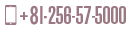 tel:81256575000