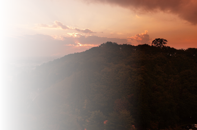 Food, nature and culture