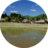 Food, nature and culture